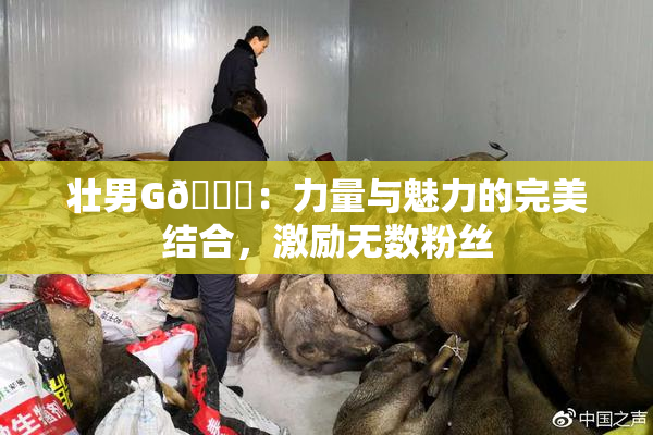壮男G🈚：力量与魅力的完美结合，激励无数粉丝
