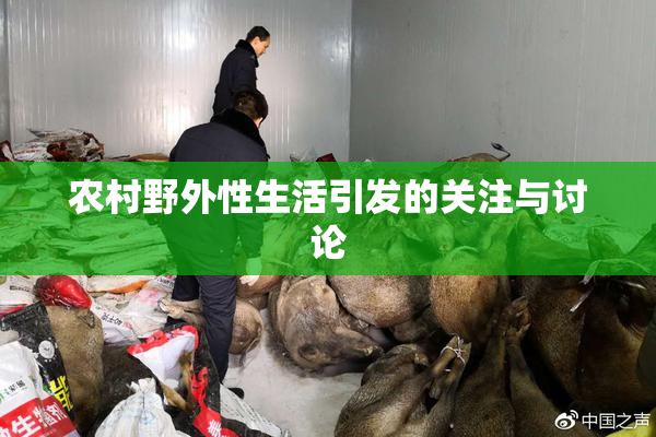农村野外性生活引发的关注与讨论