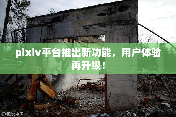 pixiv平台推出新功能，用户体验再升级！