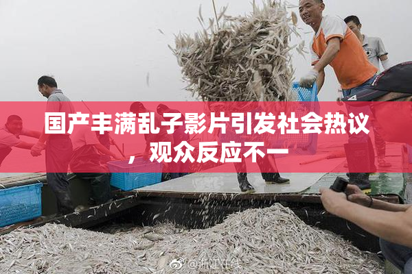 国产丰满乱子影片引发社会热议，观众反应不一