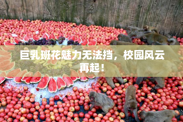 巨乳班花魅力无法挡，校园风云再起！