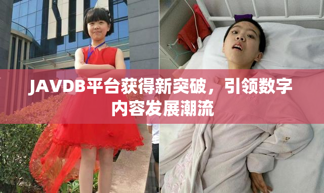 JAVDB平台获得新突破，引领数字内容发展潮流
