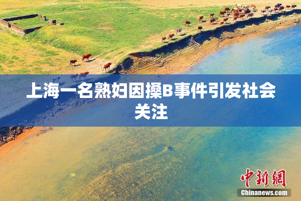 上海一名熟妇因搡B事件引发社会关注