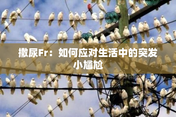 撒尿Fr：如何应对生活中的突发小尴尬