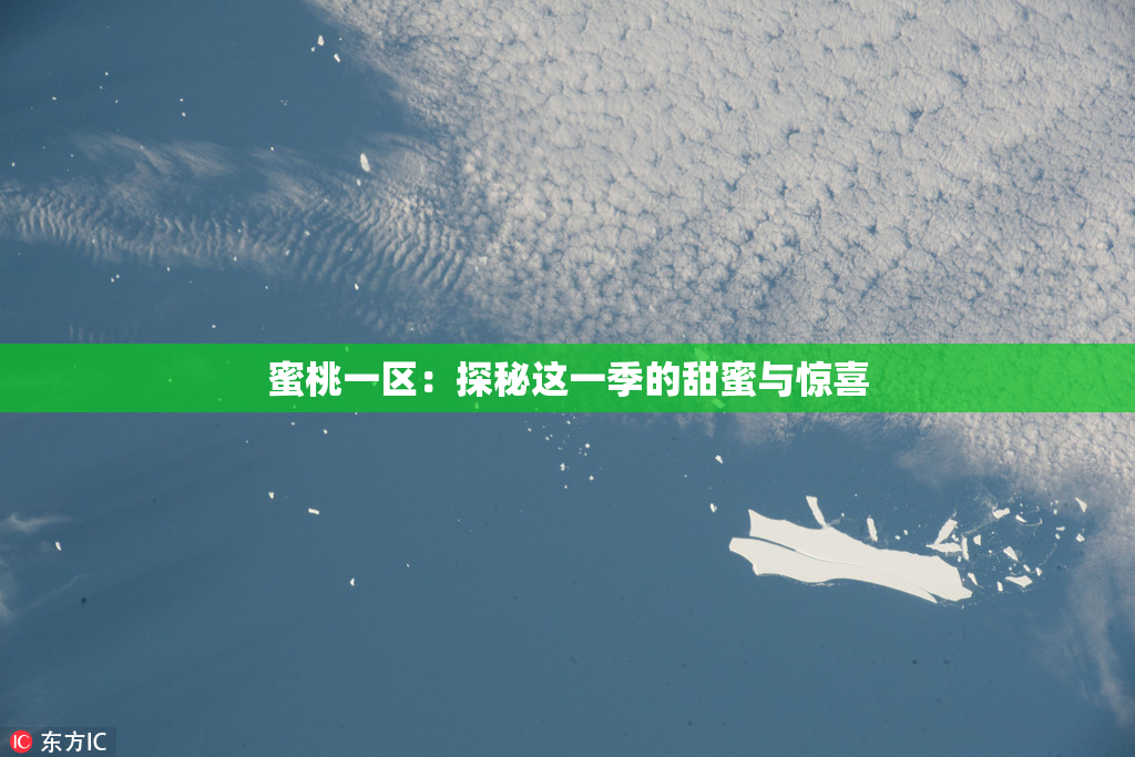 蜜桃一区：探秘这一季的甜蜜与惊喜
