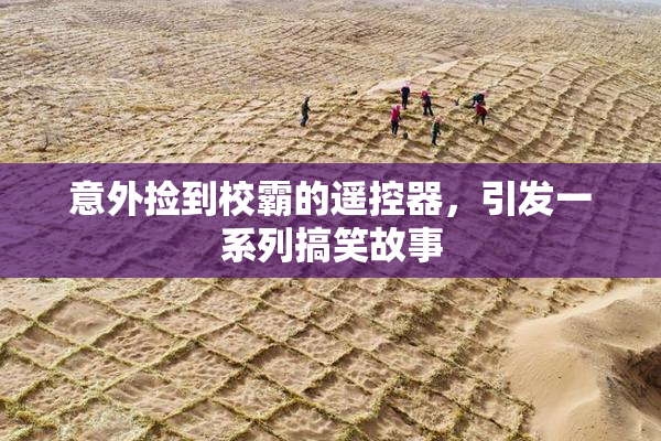 意外捡到校霸的遥控器，引发一系列搞笑故事