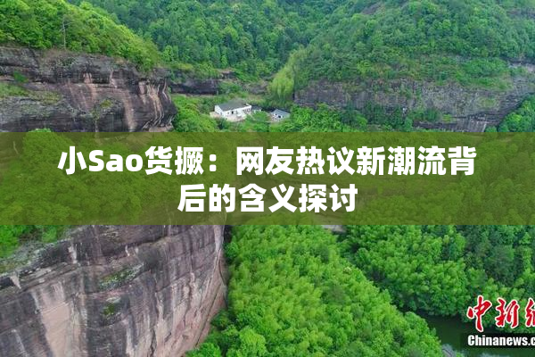 小Sao货撅：网友热议新潮流背后的含义探讨