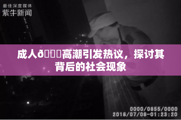 成人🔞高潮引发热议，探讨其背后的社会现象