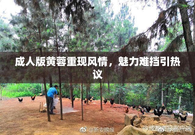 成人版黄蓉重现风情，魅力难挡引热议