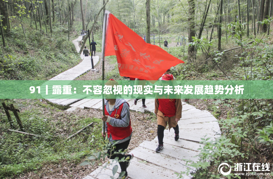91丨露重：不容忽视的现实与未来发展趋势分析