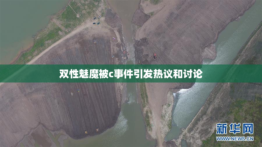 双性魅魔被c事件引发热议和讨论