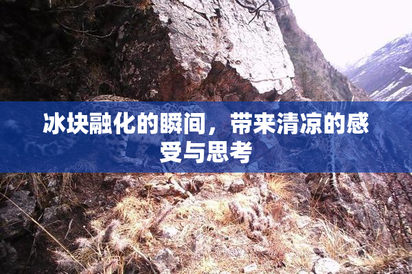 冰块融化的瞬间，带来清凉的感受与思考