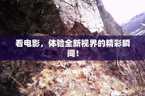 看电影，体验全新视界的精彩瞬间！