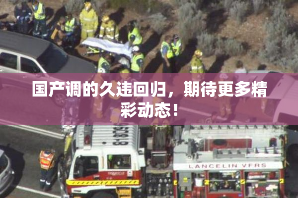 国产调的久违回归，期待更多精彩动态！