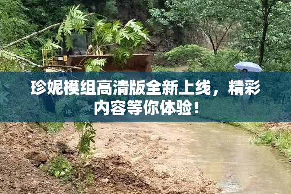 珍妮模组高清版全新上线，精彩内容等你体验！