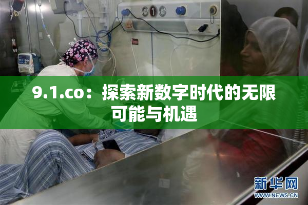 9.1.co：探索新数字时代的无限可能与机遇