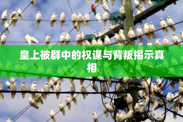 皇上被群中的权谋与背叛揭示真相