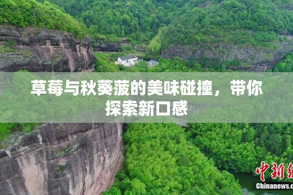 草莓与秋葵菠的美味碰撞，带你探索新口感