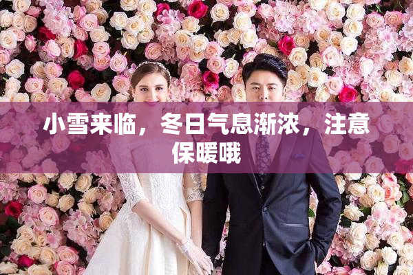 小雪来临，冬日气息渐浓，注意保暖哦