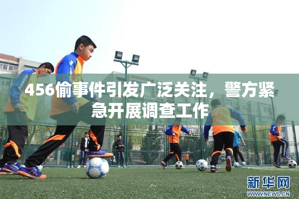 456偷事件引发广泛关注，警方紧急开展调查工作