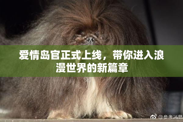 爱情岛官正式上线，带你进入浪漫世界的新篇章