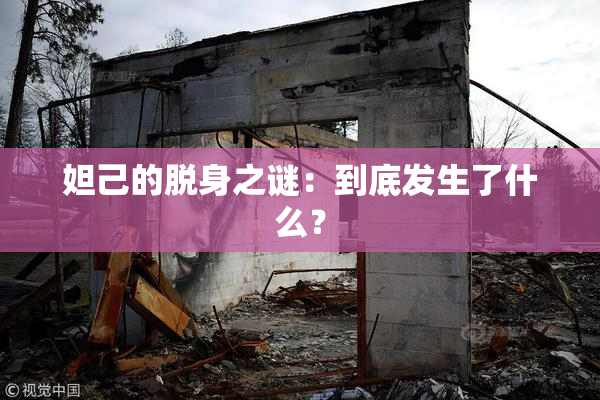 妲己的脱身之谜：到底发生了什么？
