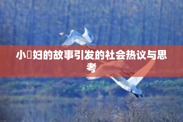 小婬妇的故事引发的社会热议与思考