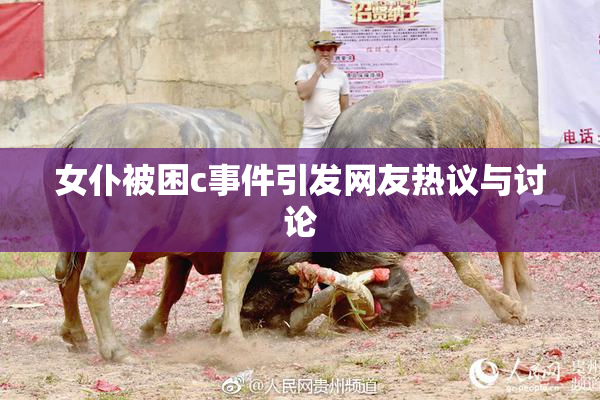 女仆被困c事件引发网友热议与讨论