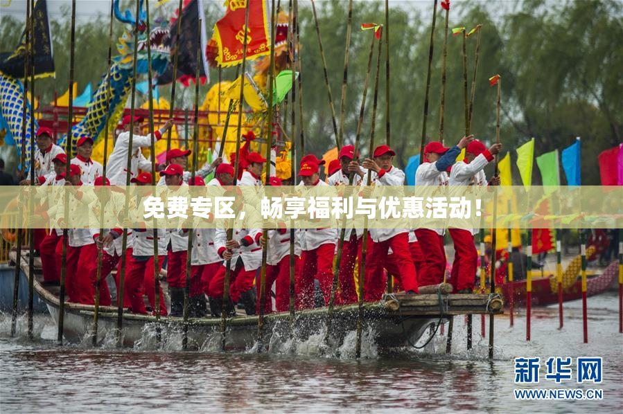 免费专区，畅享福利与优惠活动！
