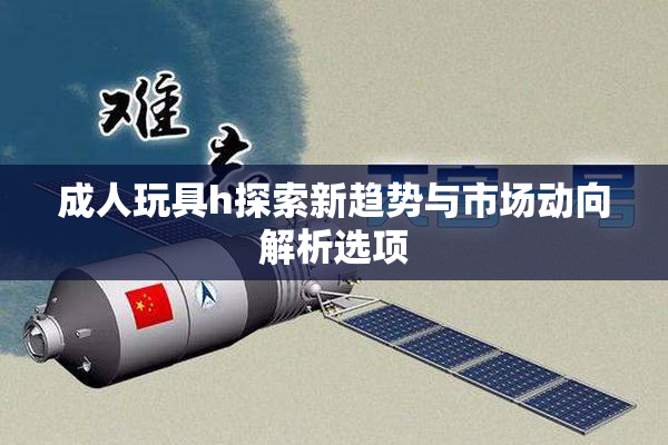 成人玩具h探索新趋势与市场动向解析选项
