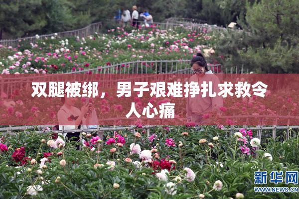 双腿被绑，男子艰难挣扎求救令人心痛