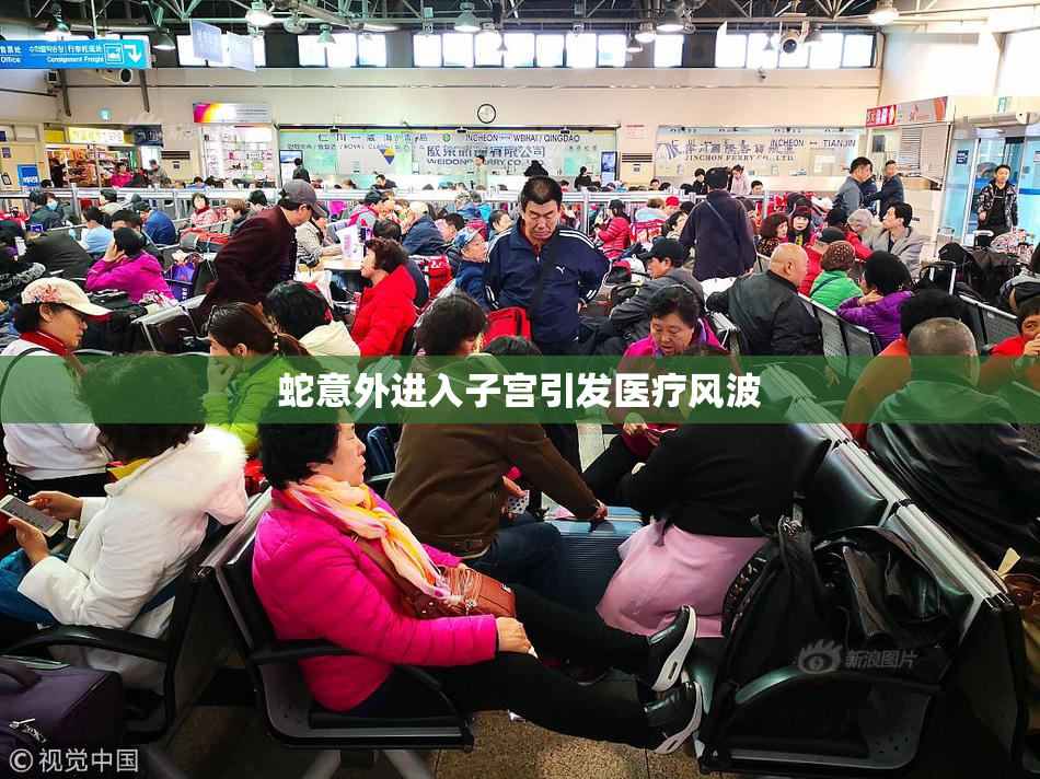 蛇意外进入子宫引发医疗风波