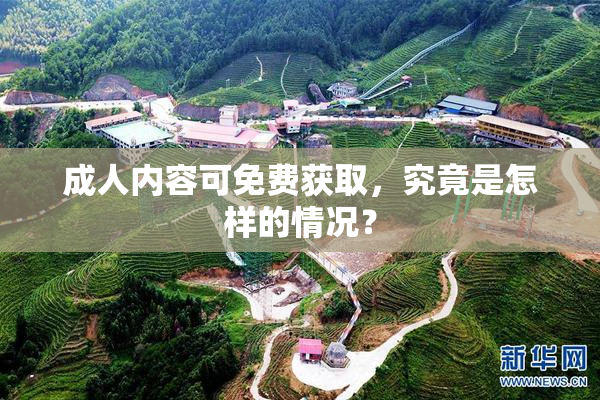 成人内容可免费获取，究竟是怎样的情况？