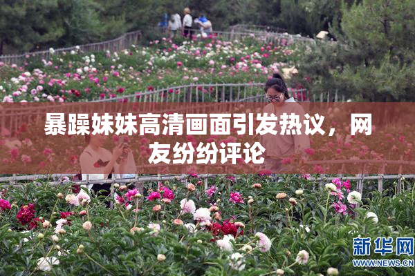 暴躁妹妹高清画面引发热议，网友纷纷评论