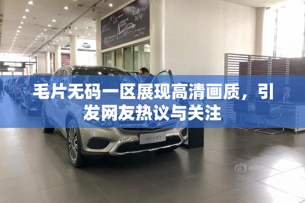 毛片无码一区展现高清画质，引发网友热议与关注