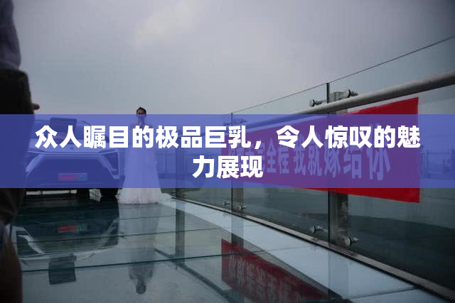 众人瞩目的极品巨乳，令人惊叹的魅力展现