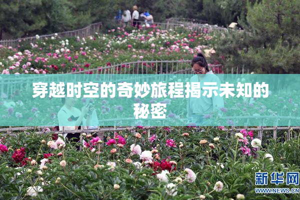 穿越时空的奇妙旅程揭示未知的秘密