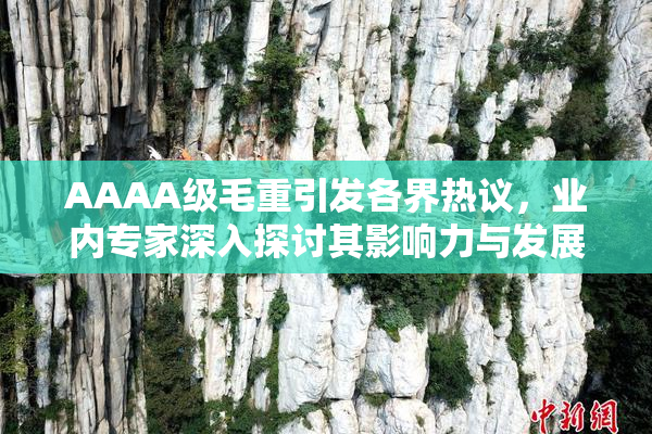 AAAA级毛重引发各界热议，业内专家深入探讨其影响力与发展前景