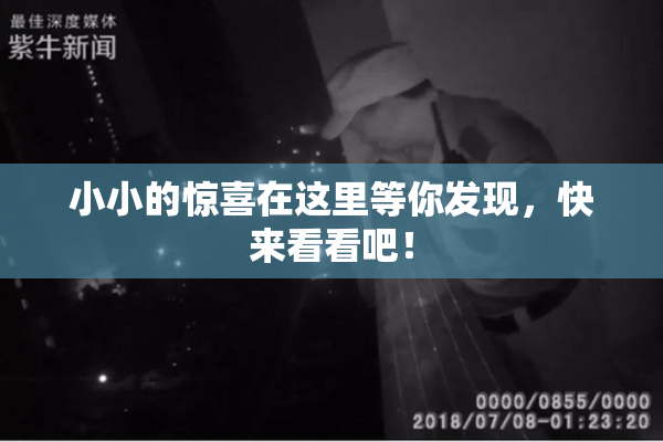 小小的惊喜在这里等你发现，快来看看吧！