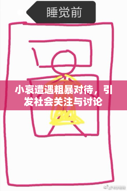 小哀遭遇粗暴对待，引发社会关注与讨论