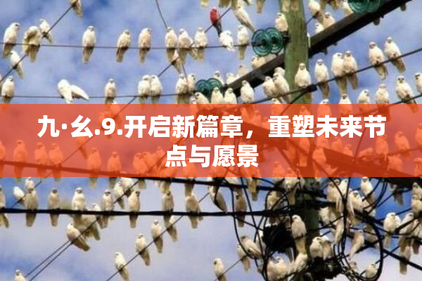 九·幺.9.开启新篇章，重塑未来节点与愿景