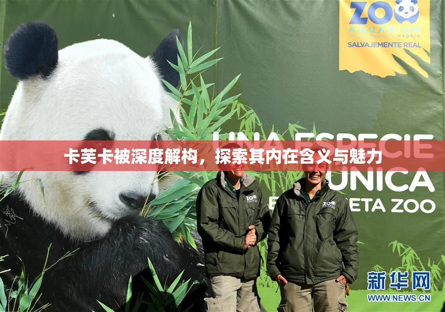 卡芙卡被深度解构，探索其内在含义与魅力