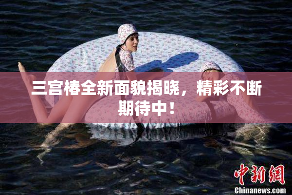 三宫椿全新面貌揭晓，精彩不断期待中！