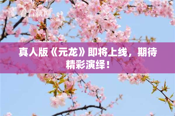 真人版《元龙》即将上线，期待精彩演绎！