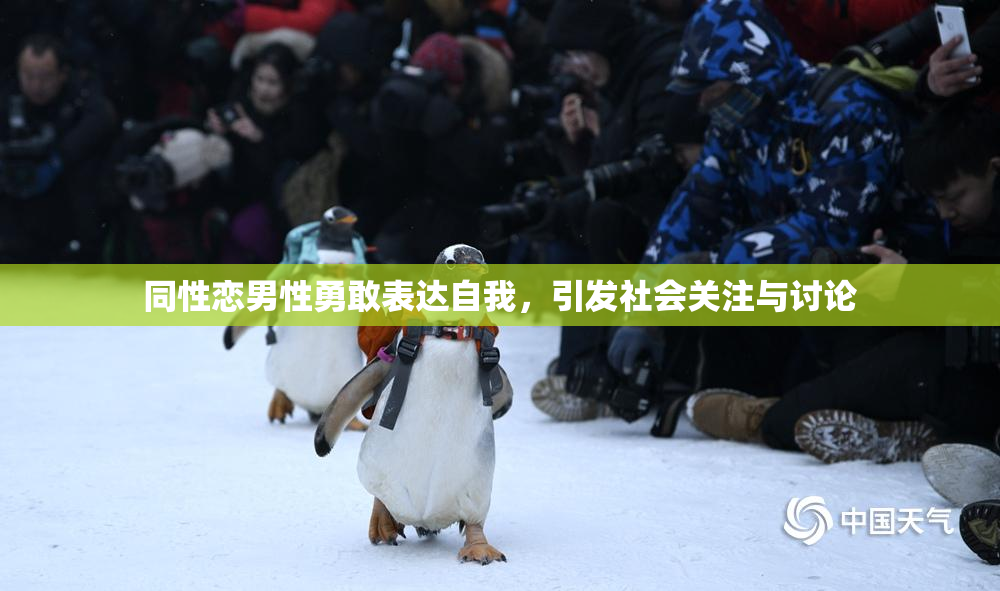 同性恋男性勇敢表达自我，引发社会关注与讨论