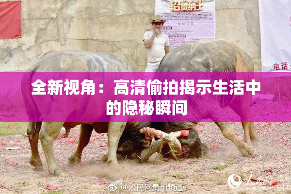全新视角：高清偷拍揭示生活中的隐秘瞬间