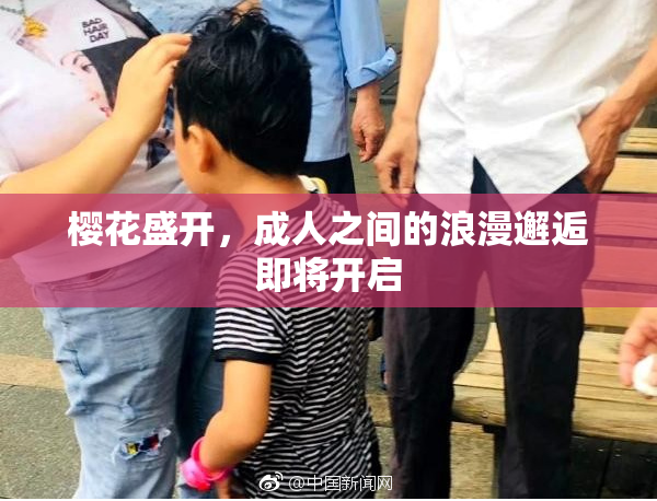 樱花盛开，成人之间的浪漫邂逅即将开启