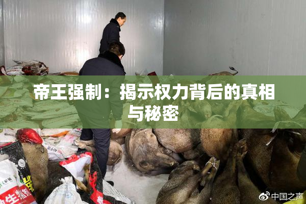 帝王强制：揭示权力背后的真相与秘密