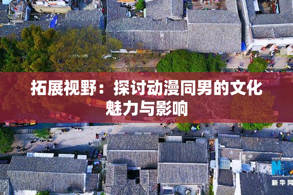 拓展视野：探讨动漫同男的文化魅力与影响