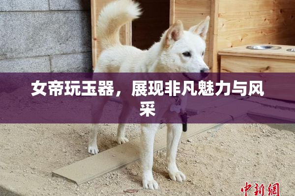 女帝玩玉器，展现非凡魅力与风采